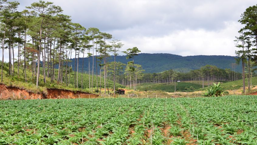 景观方法