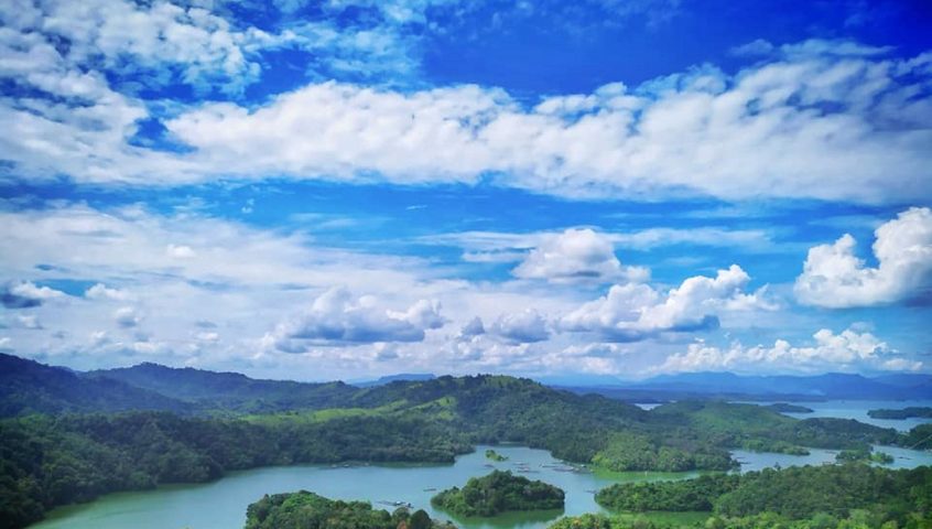 热带森林风景