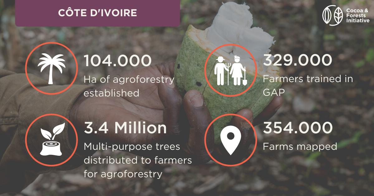 COTE Divoire 2020进度报告